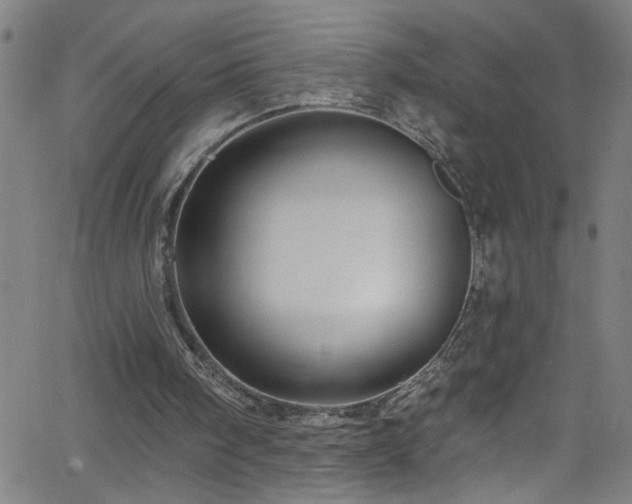 X0000068770098200604281248