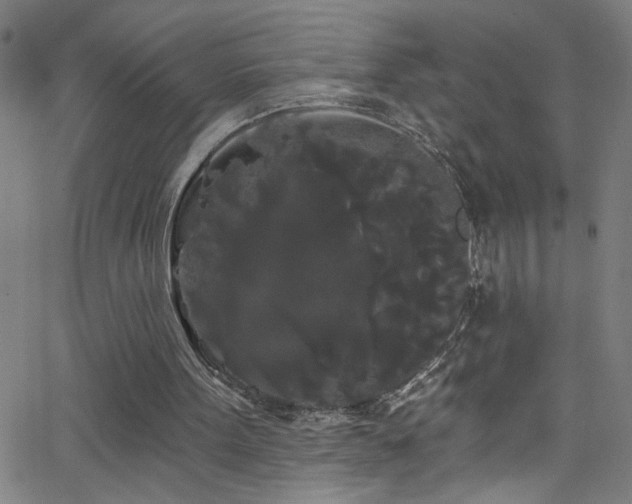 X0000068770099200604281248