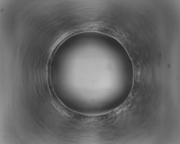 X0000068770100200604281248