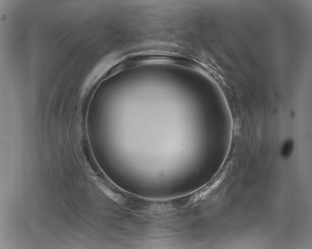 X0000068770101200604281248