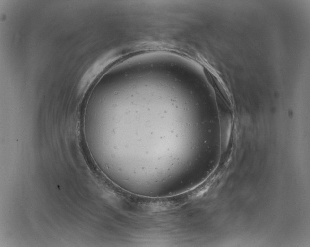 X0000068770103200604281248