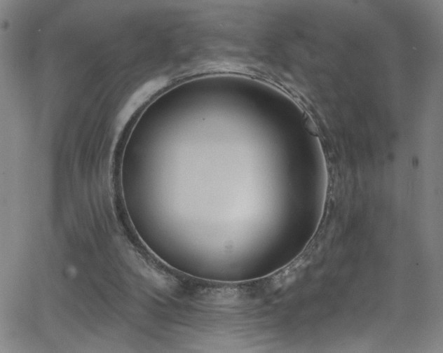 X0000068770104200604281248