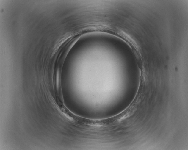 X0000068770105200604281248