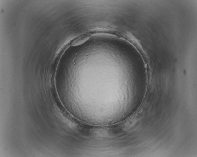 X0000068770106200604281248