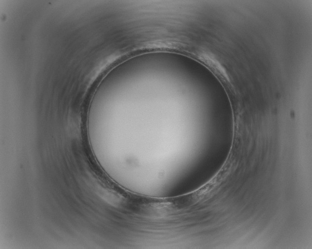 X0000068770108200604281248