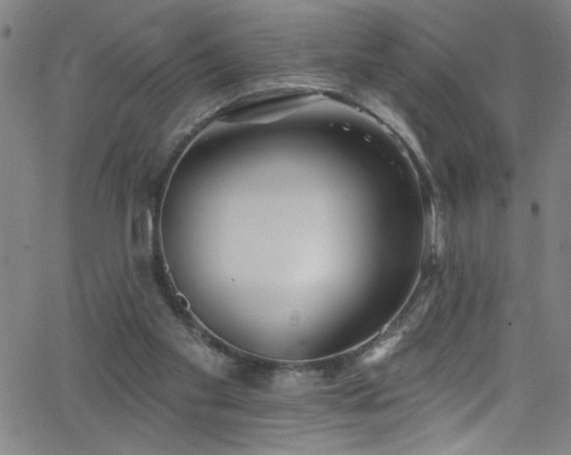 X0000068770109200604281248