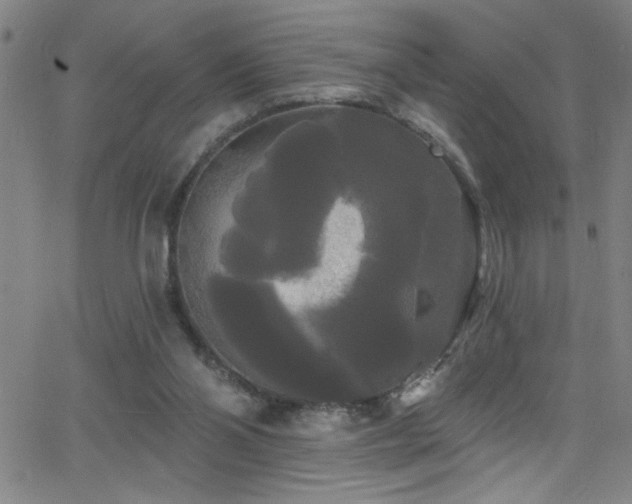 X0000068770110200604281248