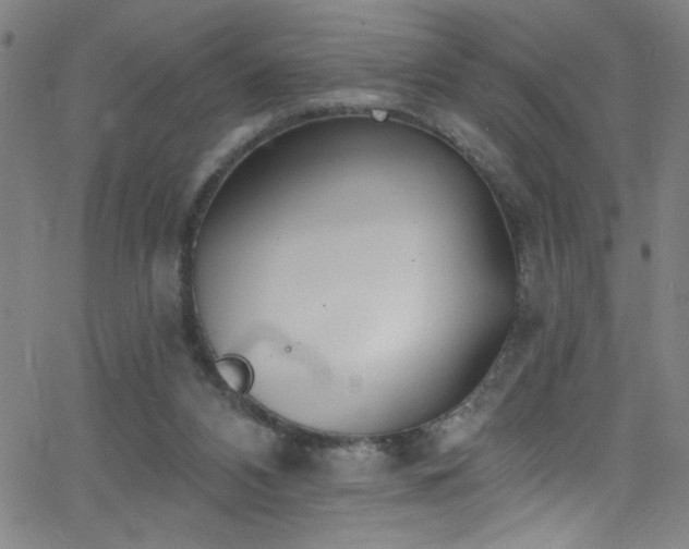 X0000068770112200604281248