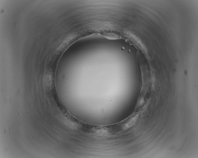 X0000068770113200604281248