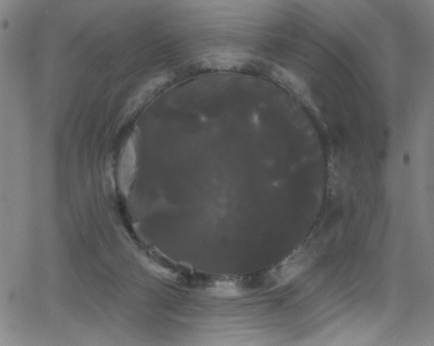 X0000068770114200604281248