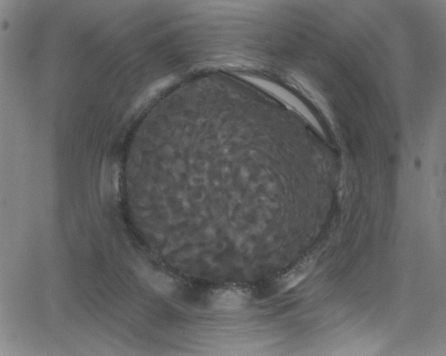 X0000068770115200604281248