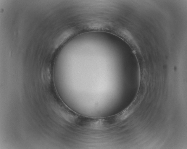 X0000068770116200604281248