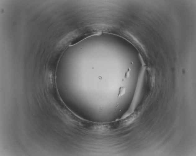 X0000068770117200604281248