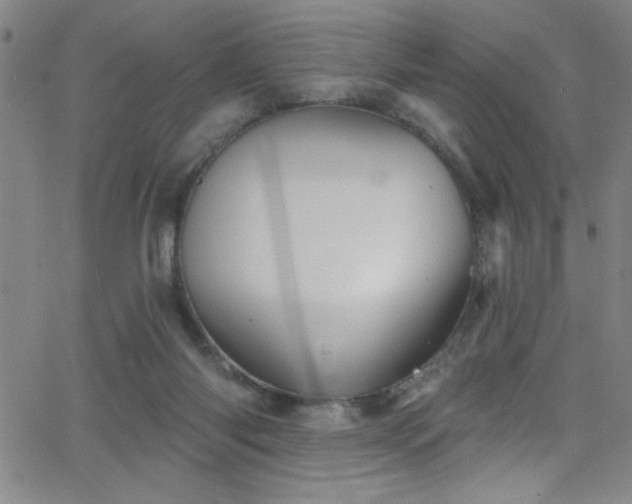 X0000068770118200604281248