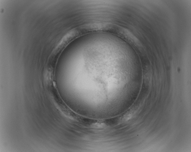 X0000068770119200604281248