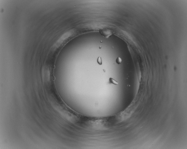 X0000068770120200604281248