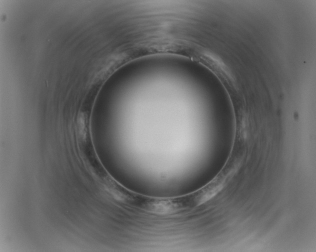 X0000068770121200604281248