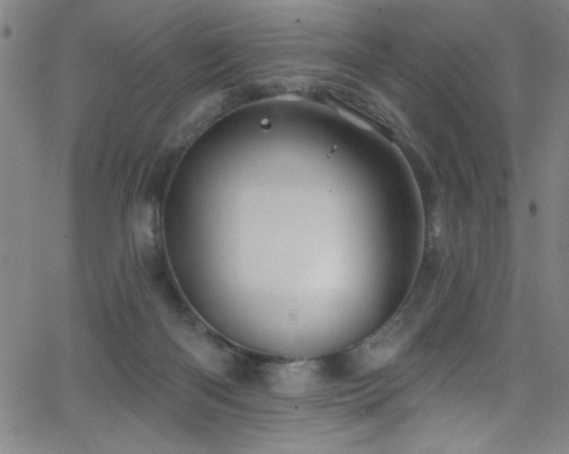 X0000068770122200604281248