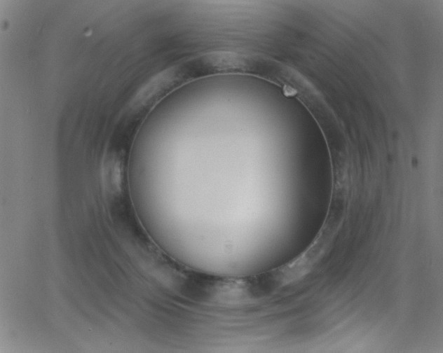 X0000068770124200604281248