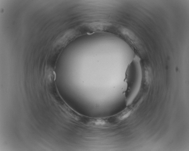 X0000068770125200604281248