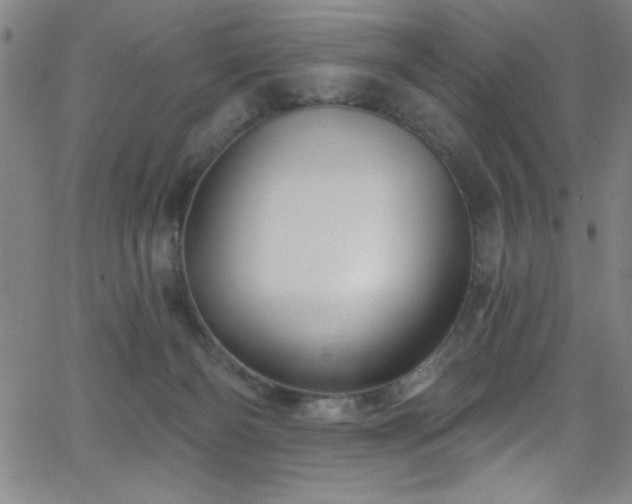 X0000068770126200604281248