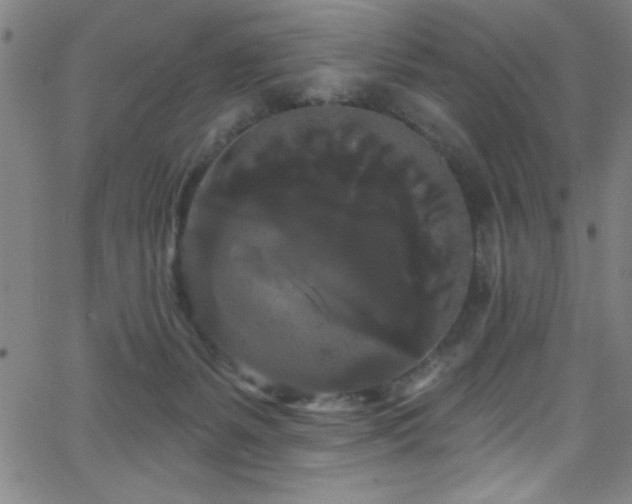 X0000068770127200604281248