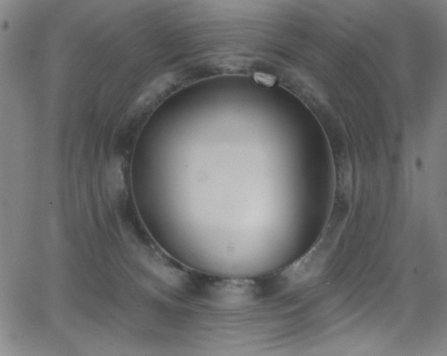 X0000068770128200604281248