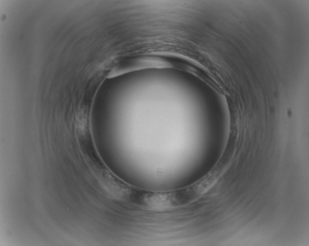 X0000068770129200604281248