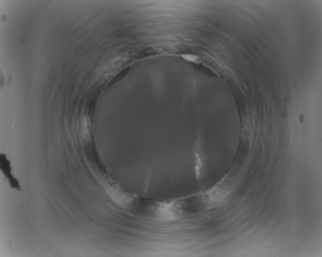 X0000068770130200604281248