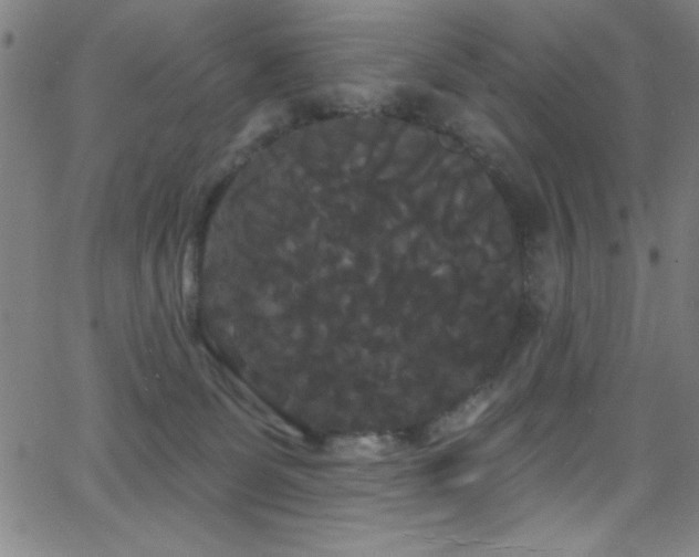 X0000068770131200604281248