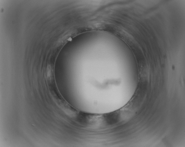 X0000068770132200604281248