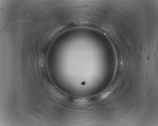 X0000068770133200604281248