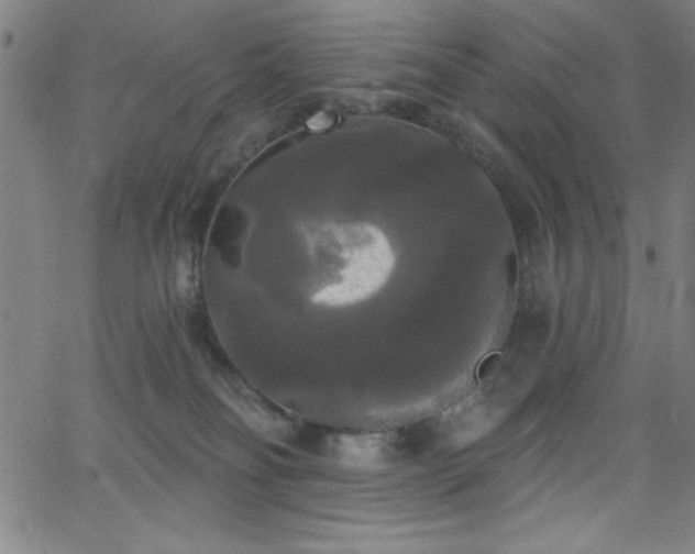 X0000068770134200604281248