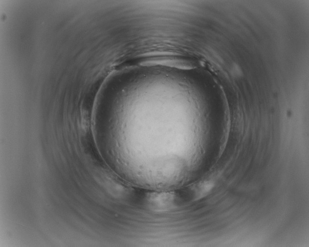 X0000068770135200604281248