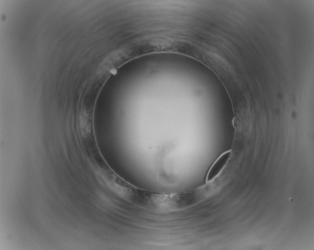 X0000068770136200604281248