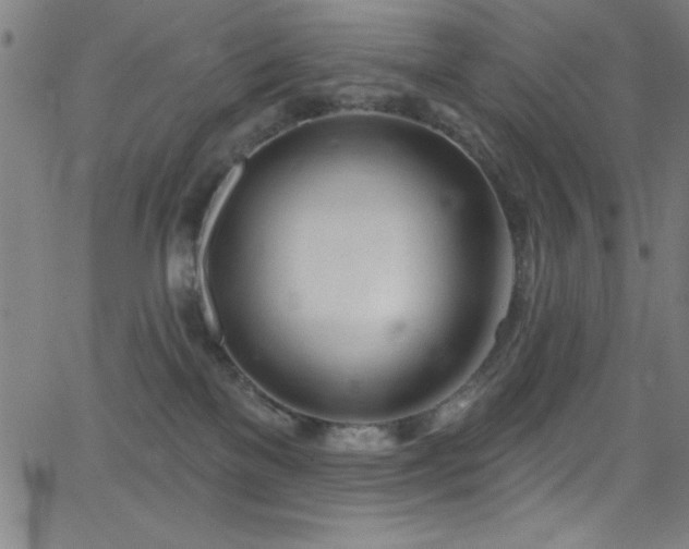 X0000068770137200604281248