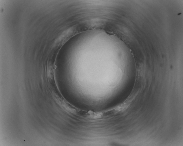 X0000068770138200604281248