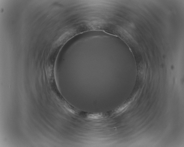 X0000068770139200604281248