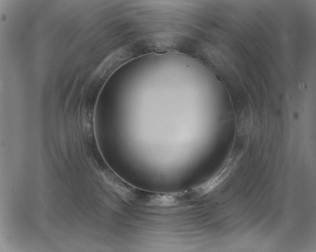 X0000068770140200604281248