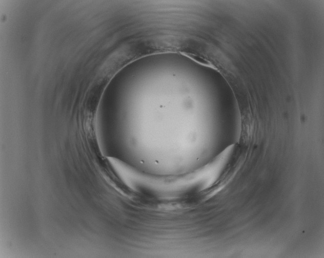 X0000068770141200604281248