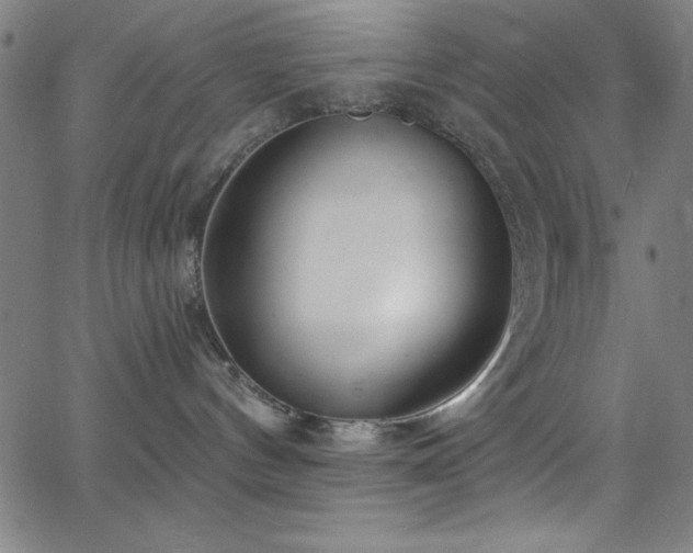 X0000068770144200604281248