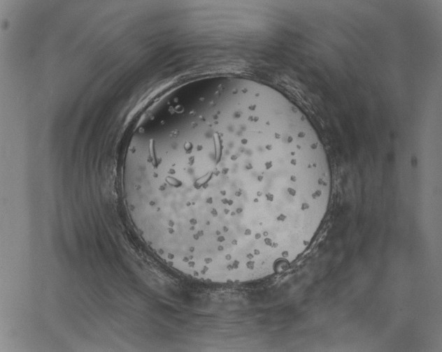 X0000068770146200604281247