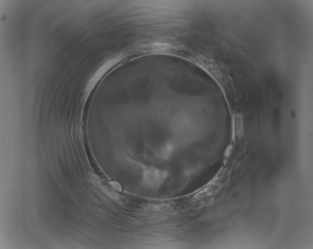 X0000068770147200604281247