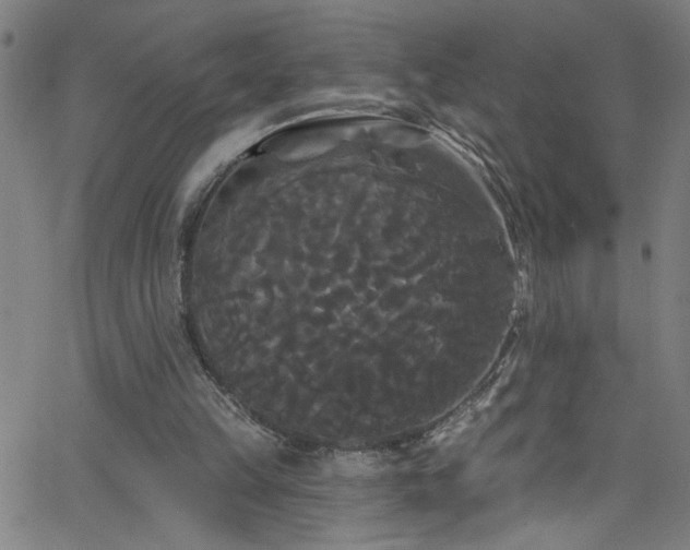 X0000068770149200604281247