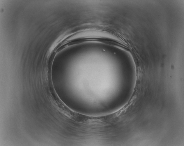 X0000068770150200604281247