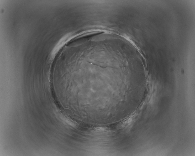 X0000068770151200604281247