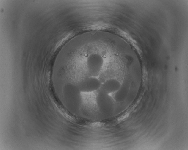 X0000068770153200604281247