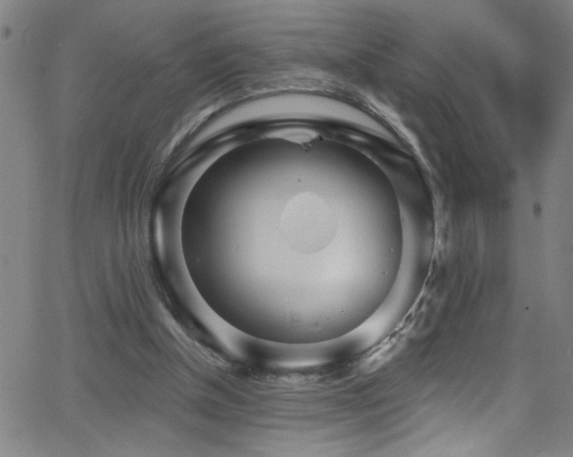 X0000068770154200604281247