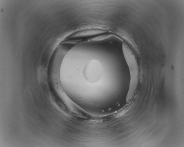 X0000068770156200604281247