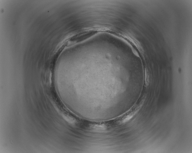 X0000068770157200604281247